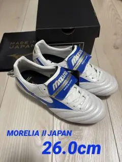 Item thumbnail for item 3041dc0c-218e-4ef9-b118-42a3a0427ff3