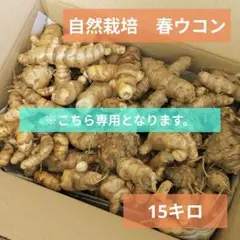 ※専用です。【無農薬　春ウコン　15キロ　　自然栽培】
