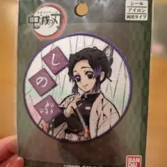 nm31様 リクエスト 2点 まとめ商品