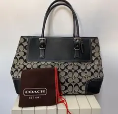 保存袋付き　COACH シグネチャーハンドバッグ