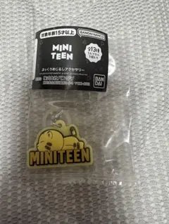 タムタム　ホシ　SEVENTEENめじるしアクセサリー