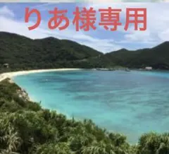 【りあ様専用】ハンドメイド 7/3