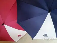 ディズニーランド　パーク内限定　傘