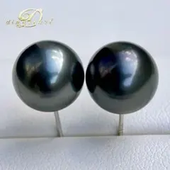 本真珠南洋黒蝶真珠　大玉11.08㍉s925直結ピアスBL916