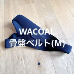 tapiocaz様 リクエスト 2点 まとめ商品