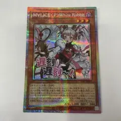 2026年最新】マリス ホワイトラビット 25thの人気アイテム - メルカリ