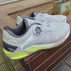 Item thumbnail for item 0854d481-97fb-40b6-91f9-8eab60f957c7