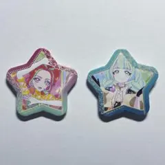 ALL AIKATSU！STAR 缶バッジ 白鳥ひめ アイカツ - メルカリ