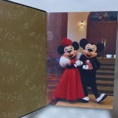 BIG BAND BEAT 東京ディズニーシー 15周年写真集