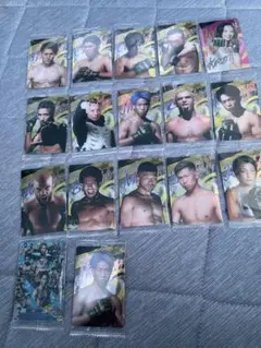 RIZINウエハース2024 17枚セット