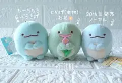 【新品・3体】すみっコぐらし とかげ とかげ(本物) ぶらさげ てのりぬいぐるみ