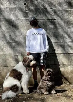 2026年最新】supreme mary work shirtの人気アイテム - メルカリ