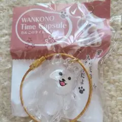 WANKONO タイムカプセル 犬型 ラテ 新品 おまけ付き