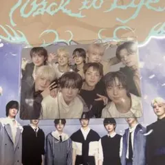 &team studiochoom studio choomトレカ 集合