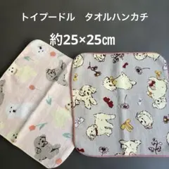 Item thumbnail for item cfc35ba6-913d-46a5-98ff-387349f59408