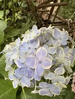 T Sachi様 リクエスト 3点 まとめ商品