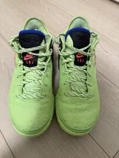 Item thumbnail for item 24bd3d26-3506-4056-acf6-8d5f1d236f53