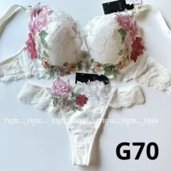 ワコール/サルート 09 店舗限定✨新品タグ付 P-upブラソングM D70