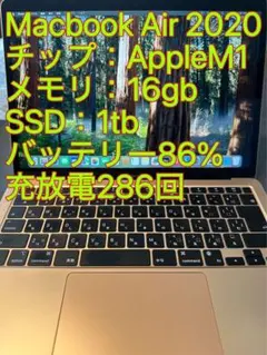 極美品 M1チップ MacbookAir 2020 メモリ16gb SSD1TB 13.3インチMacBook Air [整備済製品] 8コアCPUと8コアGPUを搭載