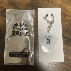 Item thumbnail for item bdc60001-bcf1-4f4b-8e34-86e8a2abc090