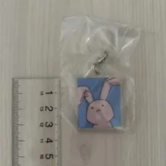 MMSC様 リクエスト 2点 まとめ商品