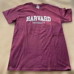 Item thumbnail for item 805fc152-a0fd-4ac7-8779-81c642721951