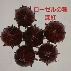 ローゼルの種「深紅」のサムネイル