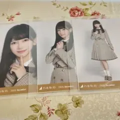 乃木坂46 乃木コレ 池田瑛紗 ノーマル 生写真 コンプ