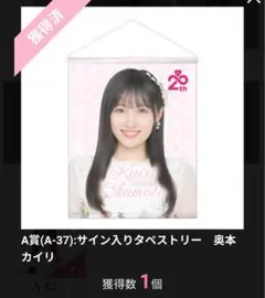 【超貴重】AKB48 会いたかった 全メンバーサイン入り 詳細検索 | AKB48 Official Shop