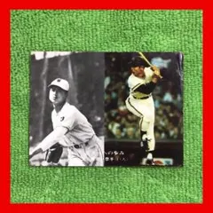 阪神タイガース 坂本誠志郎選手 ゴールデングラブ受賞記念直筆サイン色紙 阪神タイガース 坂本誠志郎選手 ゴールデングラブ受賞記念直筆サイン