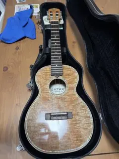 希少】Jonathanエレクトリック・トライコーン・リゾネーターギター 