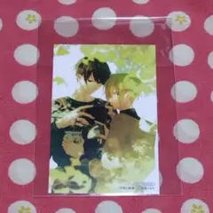 平野と鍵浦 6巻 アニメイト 特典 スマホサイズミニカード