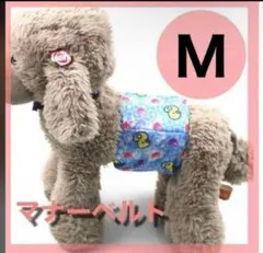 コタロウ様 リクエスト 2点 まとめ商品