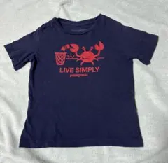 パタゴニア　Tシャツ　12-18M