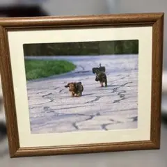 Item thumbnail for item 14eccc1e-d0c9-4000-9977-f6d48df609ce