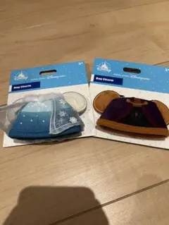 新品　アナと雪の女王 エルサ　アナ　バッグチャーム 2個セット