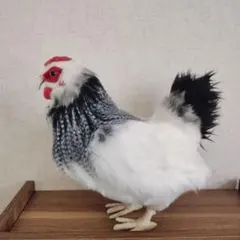 2026年最新】錦鶏鳥剥製の人気アイテム - メルカリ