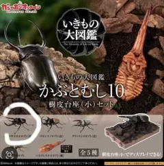 いきもの大図鑑かぶとむし10樹皮台座（小）オンライン版コーカサスオオカブト（改）