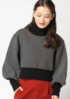 ジーナシス JEANASIS ハイネックニットセーター