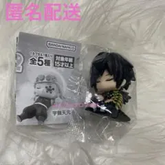 鬼滅の刃 ねむらせ隊2 冨岡義勇