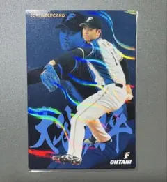 大谷翔平 2点セット