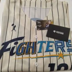 北海道日本ハムファイターズユニフォーム100　使用済みチケットのサムネイル