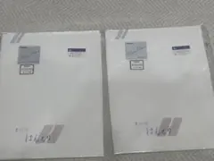 【はんえり】　TORAYシルックシルデュー　2枚組