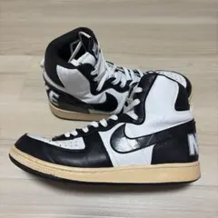NIKE TERMINATOR HIGH