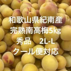 和歌山県紀南産 完熟南高梅5㎏ 秀品 3L〜2L - メルカリ