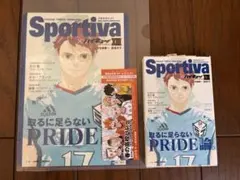 ハイキュー!! ショーセツバンSportiva XⅢ B5ビジュアルボード 及川