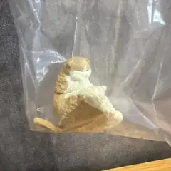 ガチャ 釣り日和5 ぽっちゃり猫 スコティッシュフォールド1体