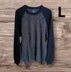 AMERICAN EAGLE ワンポイント刺繍ニットセーター　Lサイズ