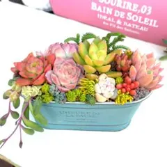多肉植物寄せ植え✩.*˚そのまま飾れる✩.*˚