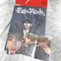 &TEAM Go in Blind (月狼) HARUA